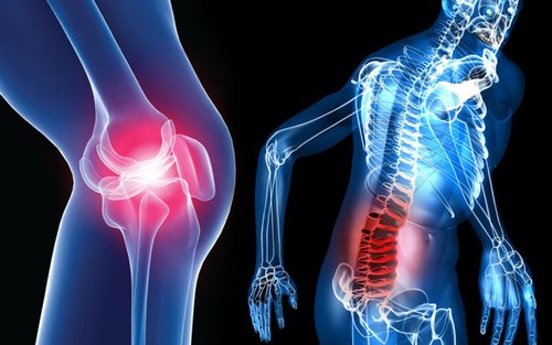 Orthopedic and Fracture Clinic
