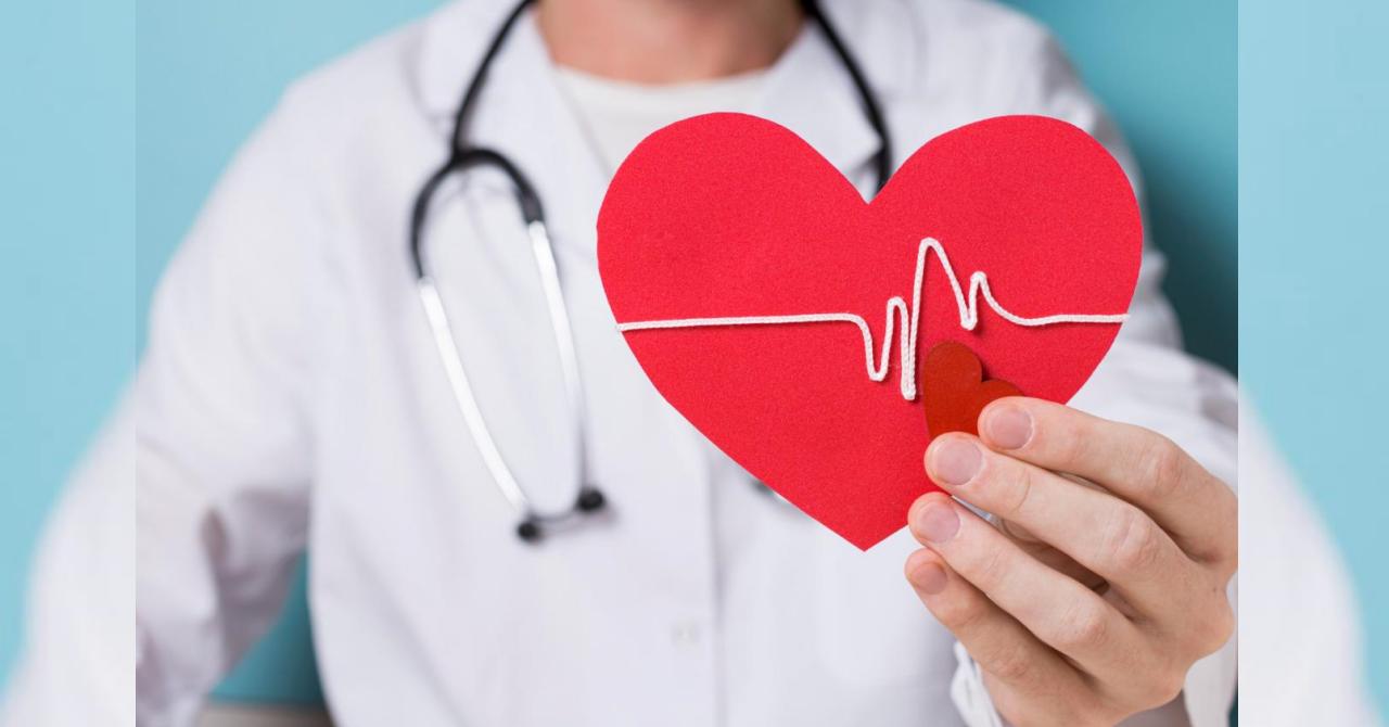 Clinic of Thoracic, Cardiovascular and Vascular Surgery