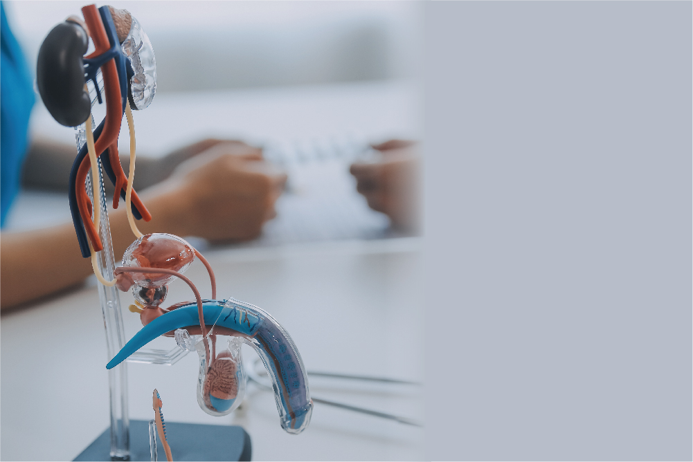 Renal and Urological Surgery Clinic